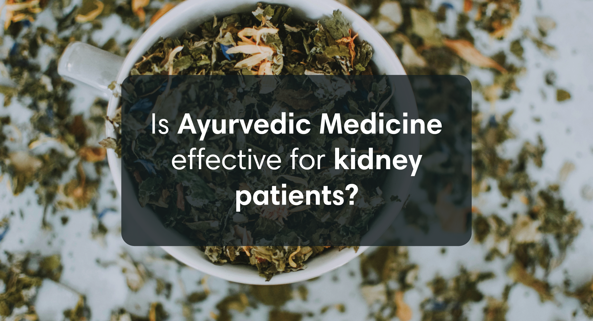 Ayurvedic Medicines for Kidney Health: Are They Really Effective?