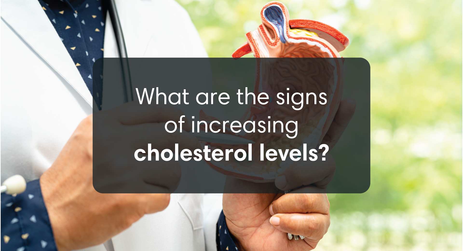 Decoding High Cholesterol: Warning Signs That You Shouldn’t Ignore