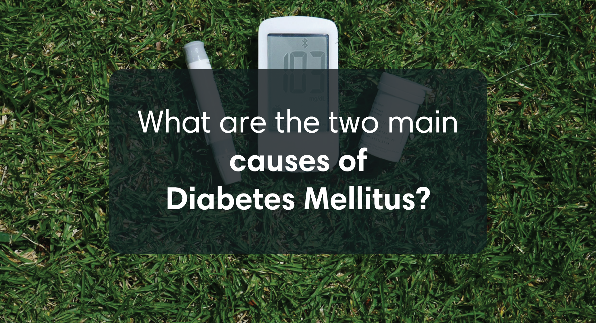 Find Out What Are The Two Main Causes of Diabetes Mellitus