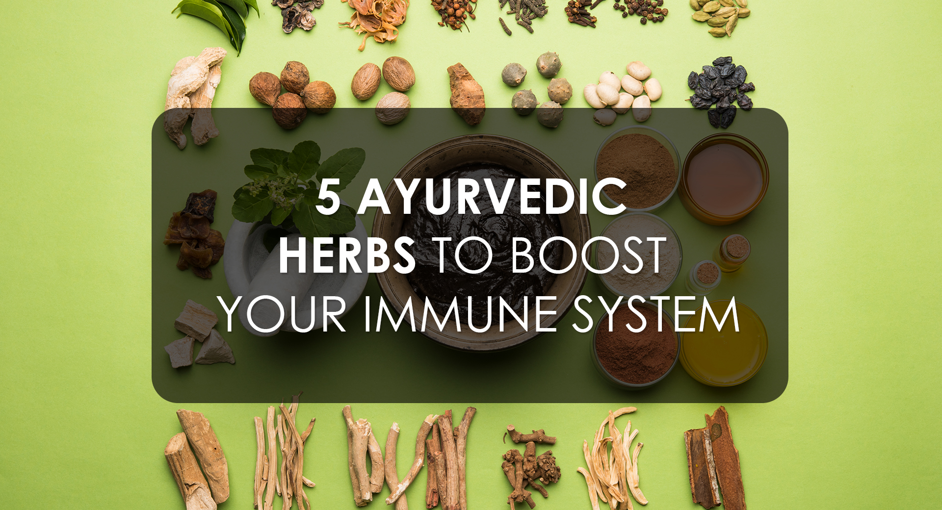 5 Ayurvedic Herbs to Boost Your Immune System