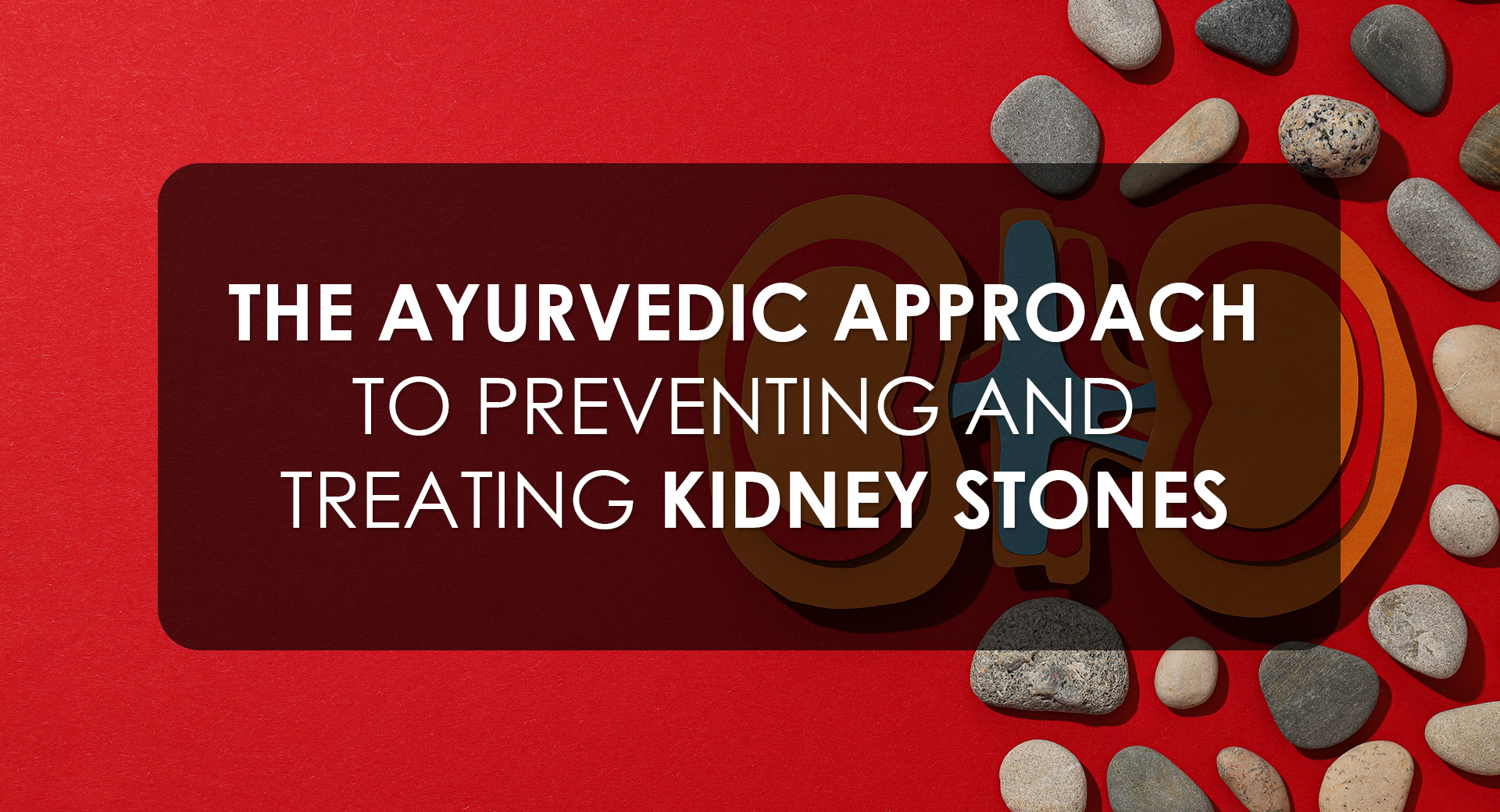 The Ayurvedic Approach to Preventing and Treating Kidney Stones