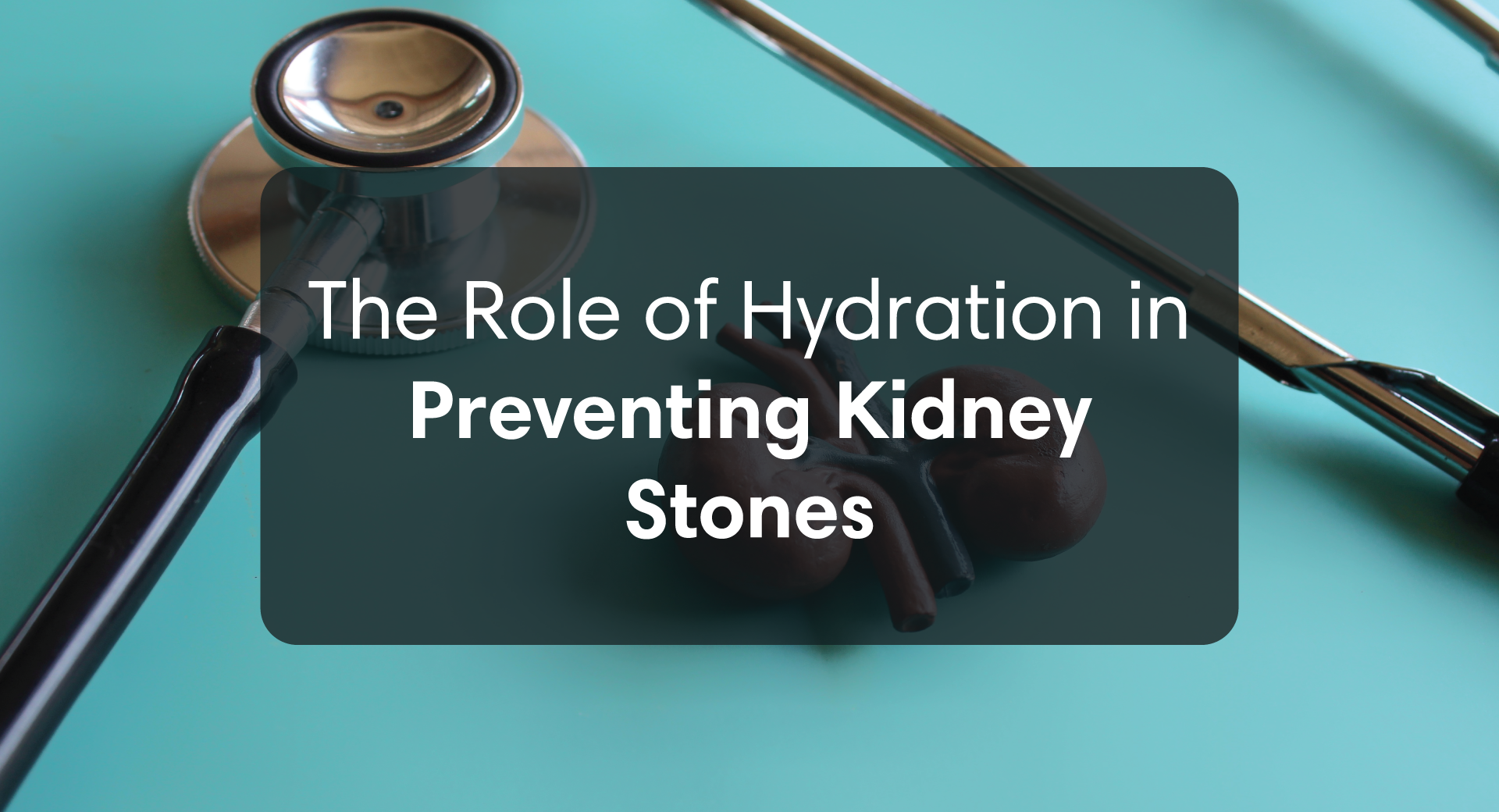 The Role of Hydration in Preventing Kidney Stones