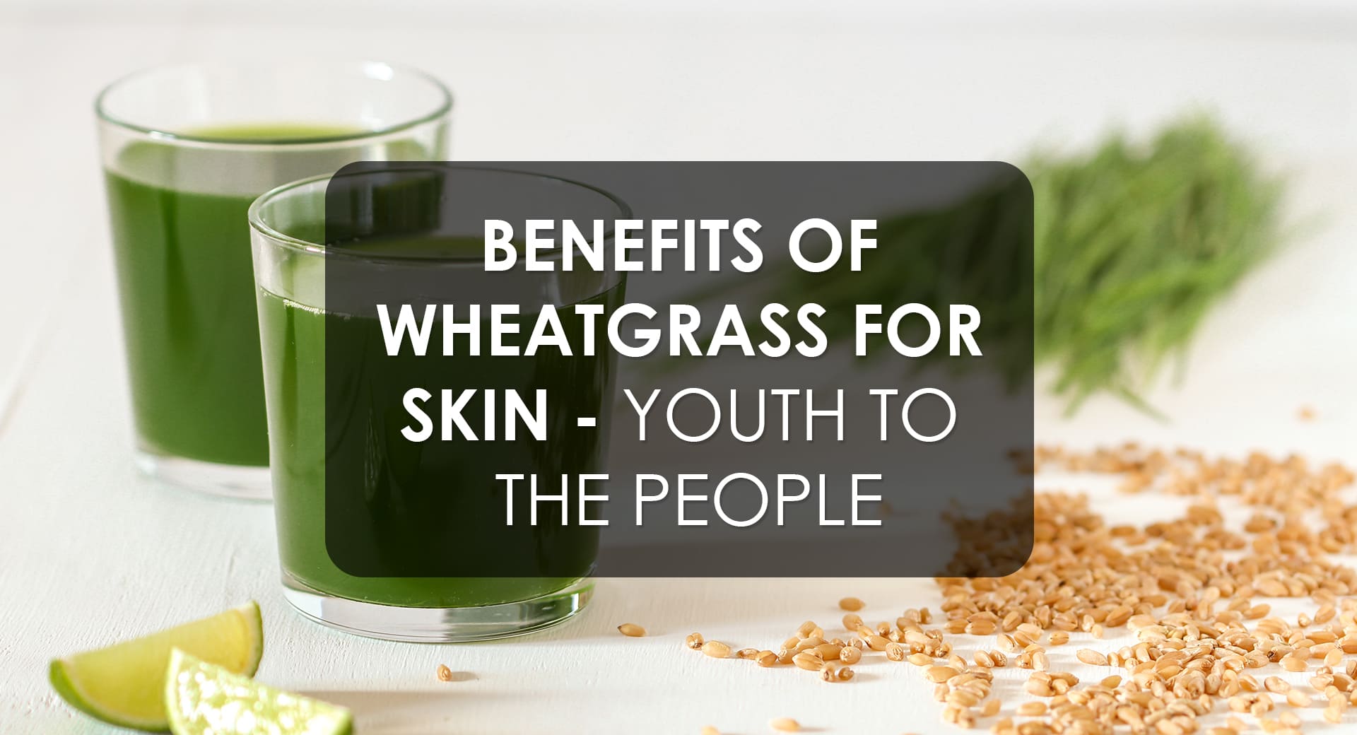 Benefits of Wheatgrass For Skin