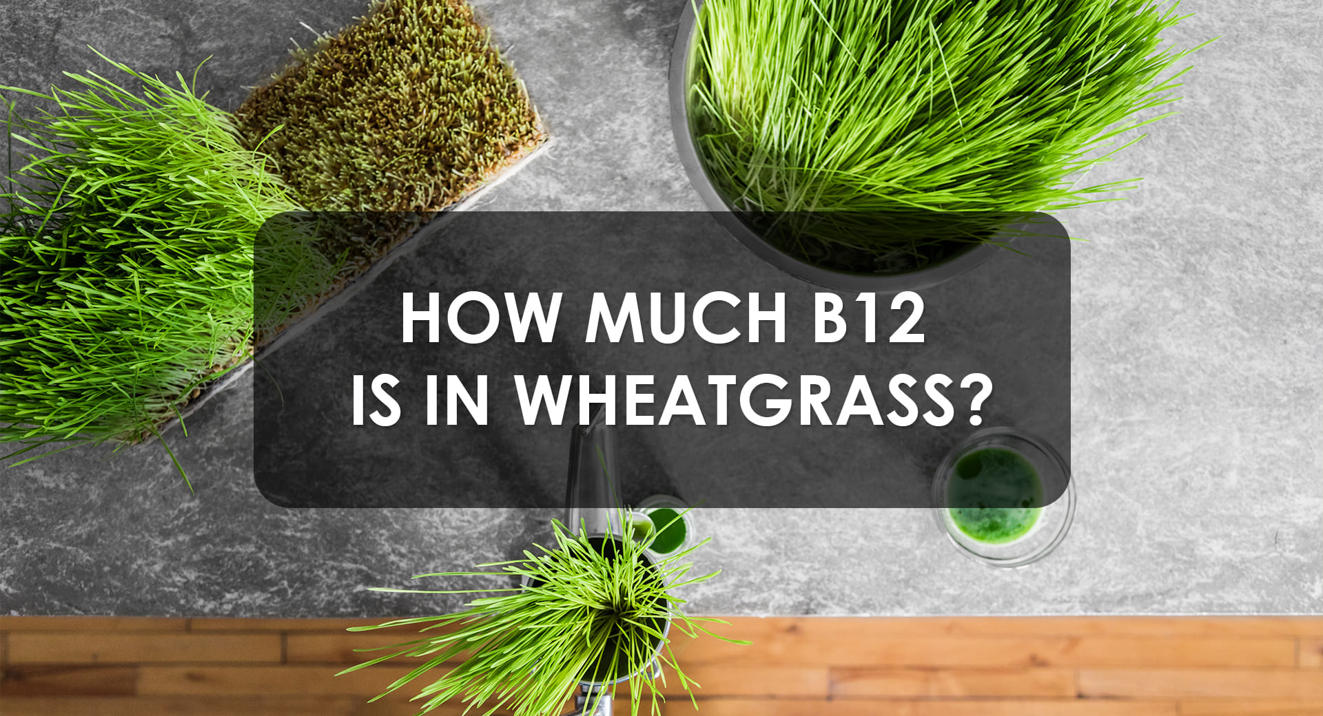 How Much B12 Is In Wheatgrass?