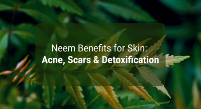 Picture of Neem Benefits for Skin: Acne, Scars & Detoxification - Krishna’s Herbal ...