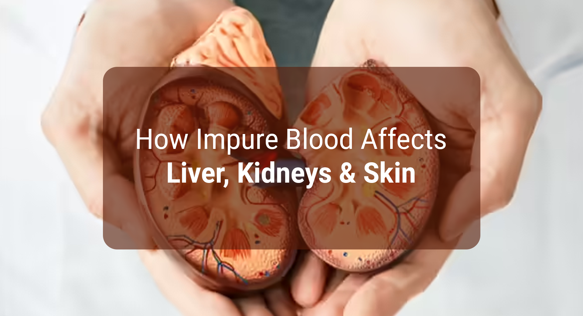 How Impure Blood Affects Liver, Kidneys & Skin
