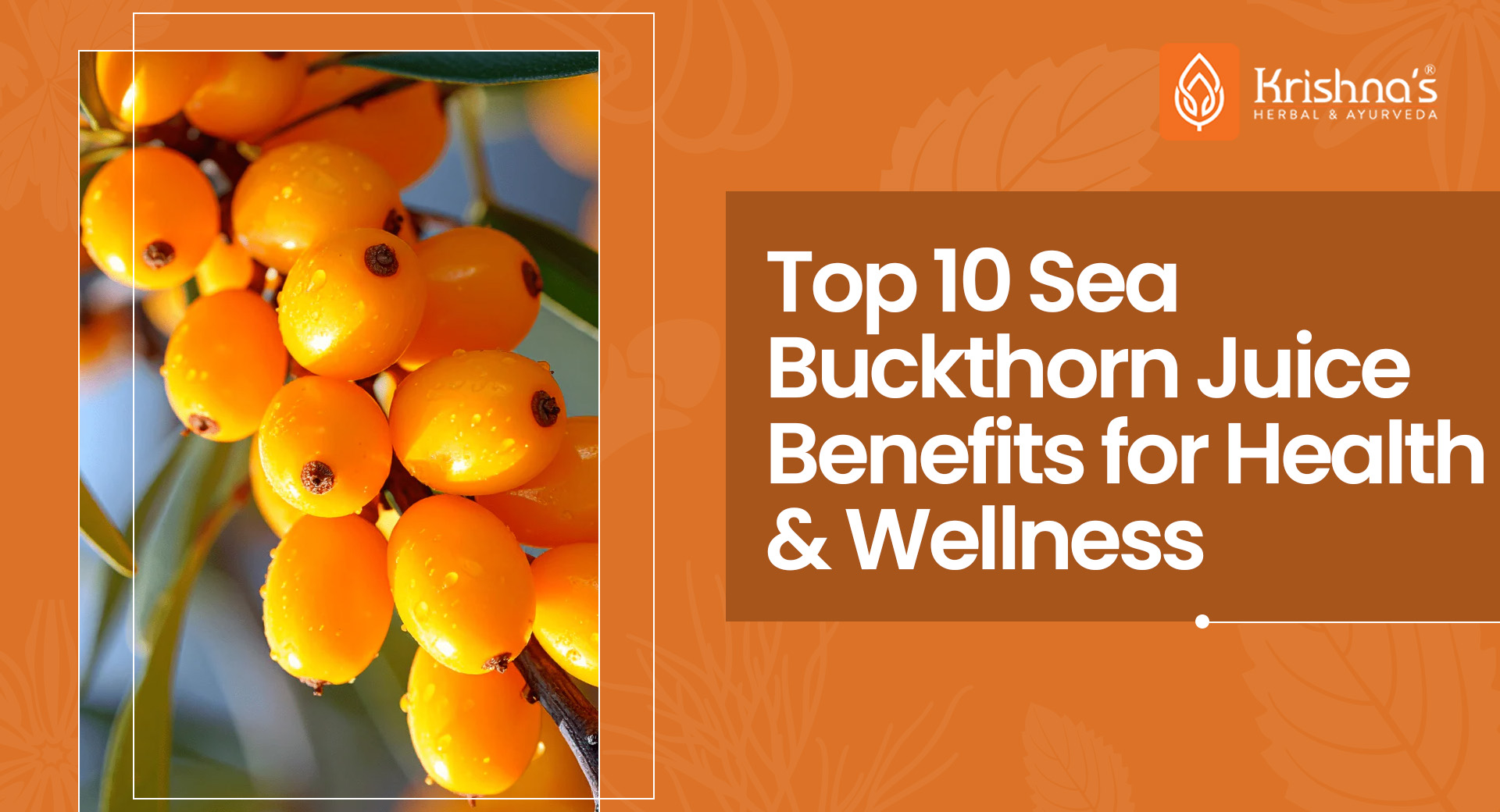 Top 10 Sea Buckthorn Juice Benefits for Health and Wellness
